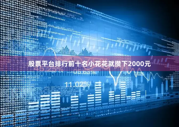 股票平台排行前十名小花花就攒下2000元