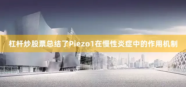 杠杆炒股票总结了Piezo1在慢性炎症中的作用机制